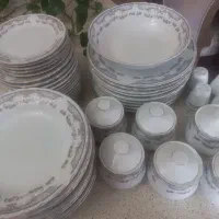 سرویس چینی طرح مرجان|ظروف سرو و پذیرایی|اردبیل, |دیوار