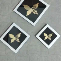 ۳تکه دیوار کوب پروانه