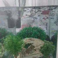 فروش آکواریوم