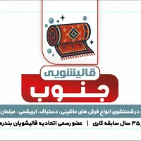 قالیشویی تمام اتوماتیک جنوب