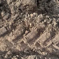 کود گوسفندی کهنه حمل کامیون دهچرخ تحویل در محل