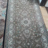 کناره رنگ گردویی سالم