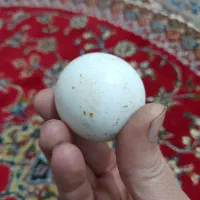 الماس آسیاب۷۰۰|جواهرات|تهران, ائمه اطهار|دیوار