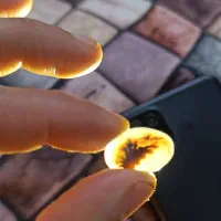 شجر و زبرجد|جواهرات|مرودشت, ژیان|دیوار