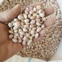 لوبیا چیتی ..اورگانیک..محصول امسال|عمدهفروشی|سده (فارس), |دیوار