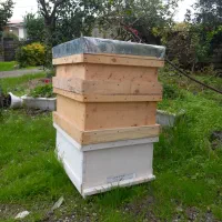 فروش کندو طبق مصنوعات چوبی