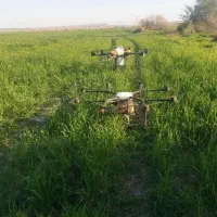 سم پاشی هوایی پهپاد . پهباد|خدمات باغبانی و درختکاری|اندیمشک, |دیوار