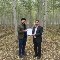 صــنـوبـر سرمایهگذاری بلندمدت و مطمئن