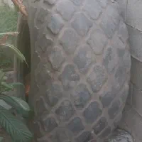 لاستیک غلطک