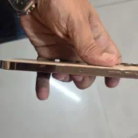 آیفون 13 پرومکس|موبایل|گنبد کاووس, |دیوار