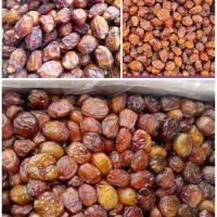 فروش خرما ، ریزه خاصویی