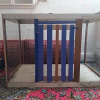 قفس پرنده|لوازم جانبی حیوانات|ساوه, |دیوار