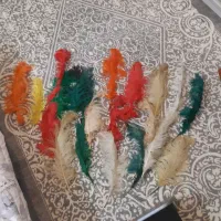 پر علامت ( علم)