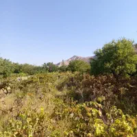 فروش-باغ