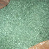 خار شتر و کاه ریگ