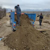 کود گاو مرغی درجه یک.خاک مخصوص باغچه.تعویض خاک|خدمات باغبانی و درختکاری|کرمان, |دیوار