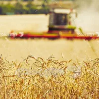 فروش تلفنی کودهای کشاورزی