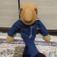 عروسک شخصیت فامیل دور