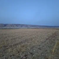 زمین کشاورزی