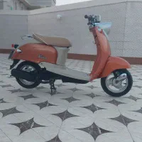 پاکشتی