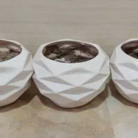 سه تا گلدون