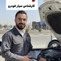 کارشناسی رنگ سیار و خرید نیابتی خودرو(سفارشی)