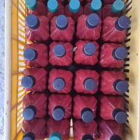 رب فلفلی سیری|خوردنی و آشامیدنی|شیراز, ابیوردی|دیوار