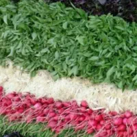 سبزی خورشی و خوردنـی|خوردنی و آشامیدنی|شاهین‌شهر, حاجی آباد|دیوار