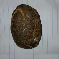 سنگ ،نشان،حاکمیت|کلکسیون اشیاء عتیقه|شاهیوند, |دیوار