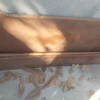 تخت دونفره|تخت و سرویس خواب|یاسوج, |دیوار