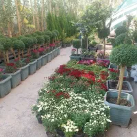 خدمات باغبانی کاشت گل درختکاری تعویض خاک گلدون|خدمات باغبانی و درختکاری|تهران, تجریش|دیوار