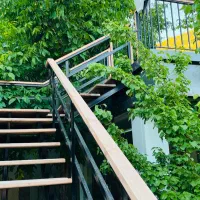 اجاره باغ رستوران ابشار یاسوج|اجارهٔ مغازه و غرفه|یاسوج, |دیوار