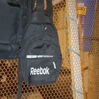 کیف بادی بگ