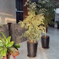 اجاره-مغازه-100-متری