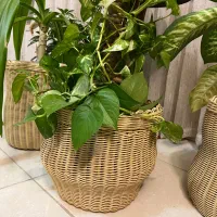 سبدهای حصیری|صنایع دستی و سایر لوازم تزئینی|شیراز, شهرک مهدیه|دیوار