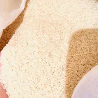 برنج طارم هاشمی درجه ۱|خوردنی و آشامیدنی|محمودآباد, |دیوار