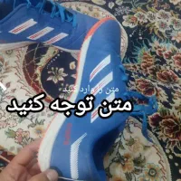 م ت ن.|کیف، کفش، کمربند|زابل, |دیوار