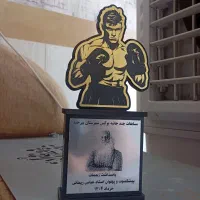 ساخت انواع تندیس|مجسمه، تندیس، ماکت|بیرجند, |دیوار