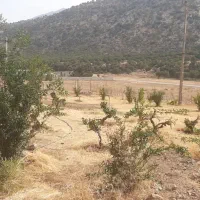 زمین-و-باغچه-آینده-دار