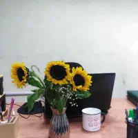 آموزش ورد و اکسل اداری از پایه تا حرفهای