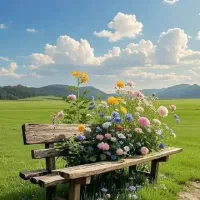 شناسنامه پیدا کردم