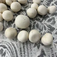 سنگ آسیاب اصلی