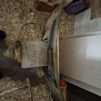 هود