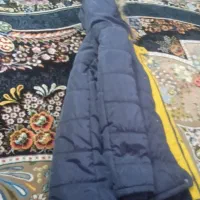 کاپشن نو|لباس|تیران, |دیوار