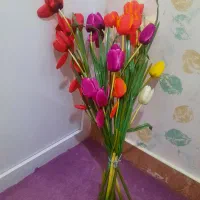 ۵شاخه گل لاله|گل مصنوعی|سنندج, |دیوار