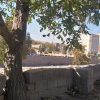 باغ برچایکنار اسکو|فروش زمین و ملک کلنگی|اسکو, |دیوار