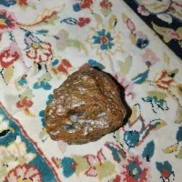 شهاب سنگ|کلکسیون اشیاء عتیقه|زاهدان, |دیوار