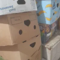 کارتن موزی درجه