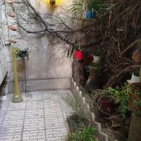 دربستی ویلایی/کاروزندگی/ مجردوخانواده|اجارهٔ خانه و ویلا|تهران,  امام زاده قاسم (نیاوران)|دیوار