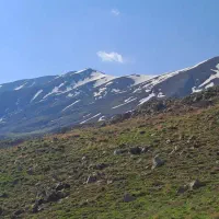 سوال دارم|فعالیت داوطلبانه|تهران, جنت‌آباد جنوبی|دیوار
